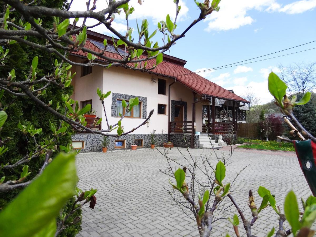 Arnota Costesti (Valcea) Exterior foto