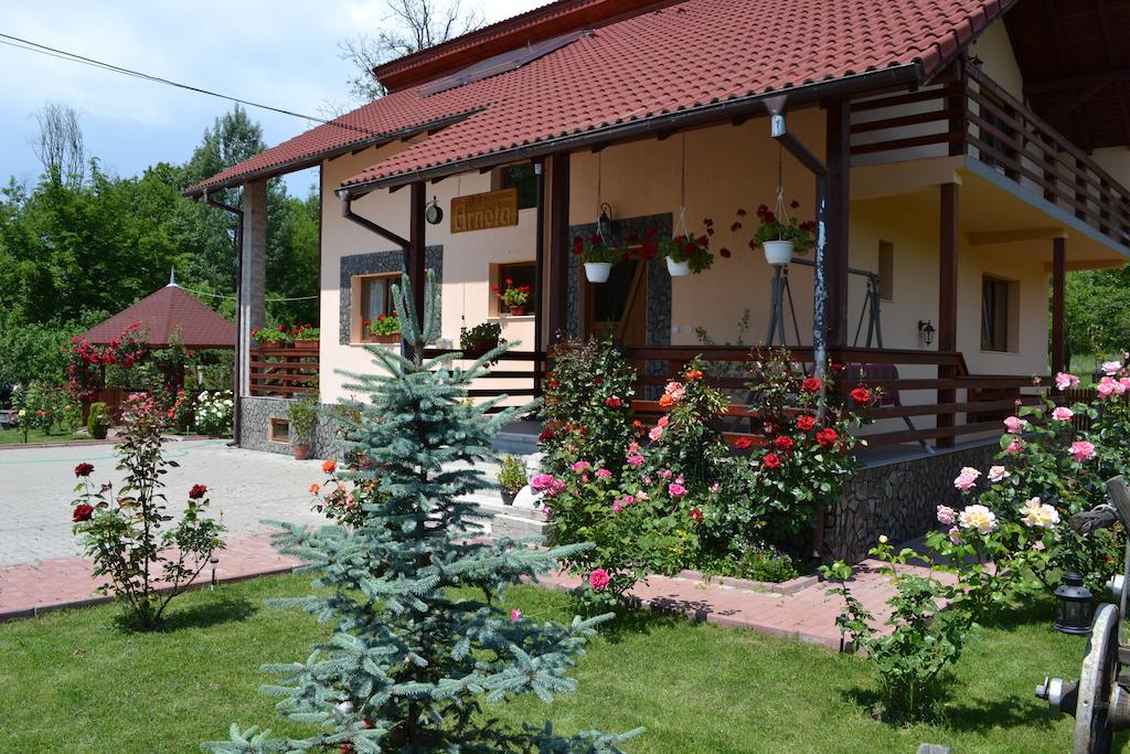 Arnota Costesti (Valcea) Exterior foto