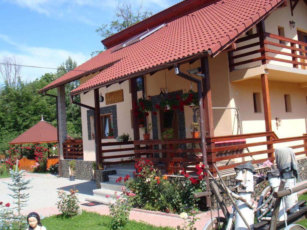 Arnota Costesti (Valcea) Exterior foto