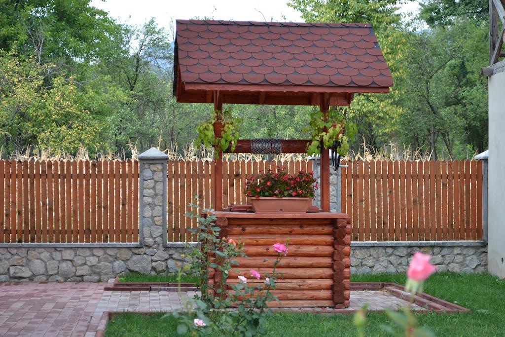 Arnota Costesti (Valcea) Exterior foto